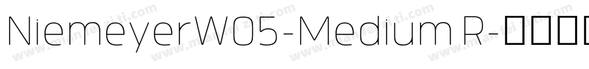 NiemeyerW05-Medium R字体转换